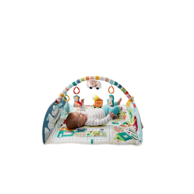 FISHER PRICE COVOR ACTIVITATI IN ORAS VIVMTGJD41