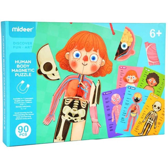 Joc educativ magnetic Corpul uman 90 piese Mideer CT7013 BBJCT7013_Initiala