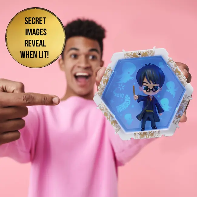 WOW! PODS - WIZARDING WORLD HARRY VIVWW-1159-11