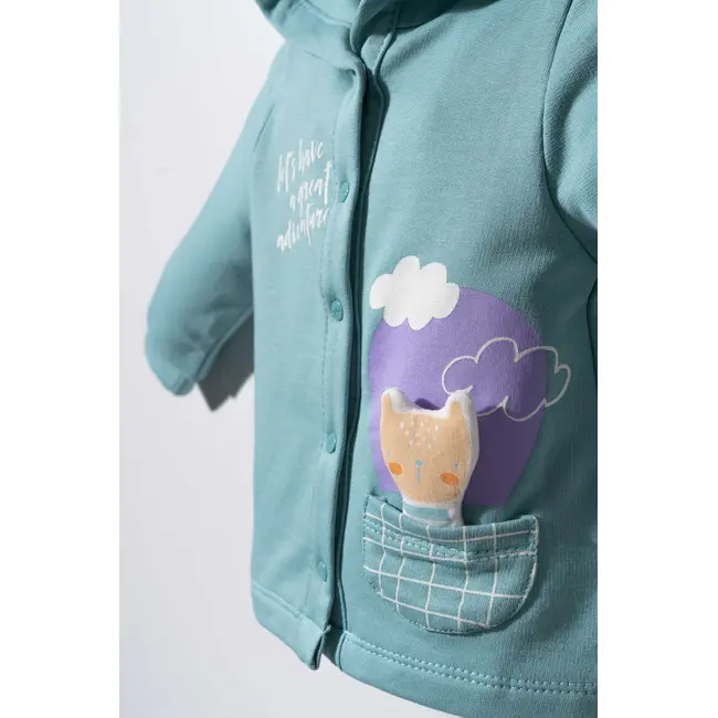 Set de trening Cats pentru bebelusi, Tongs baby (Marime: 12-18 Luni, Culoare: Turcoaz) JEMtgs_2914_5