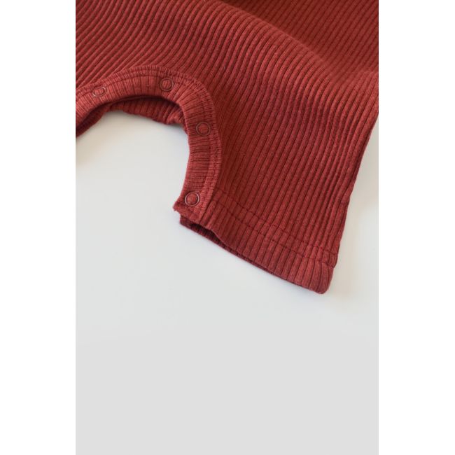 Set de 2 salopetele cu maneca scurta din bumbac organic si modal - Caramiziu/ Sofran (Marime: 12-18 Luni) JEMBC-CSYM1105-12
