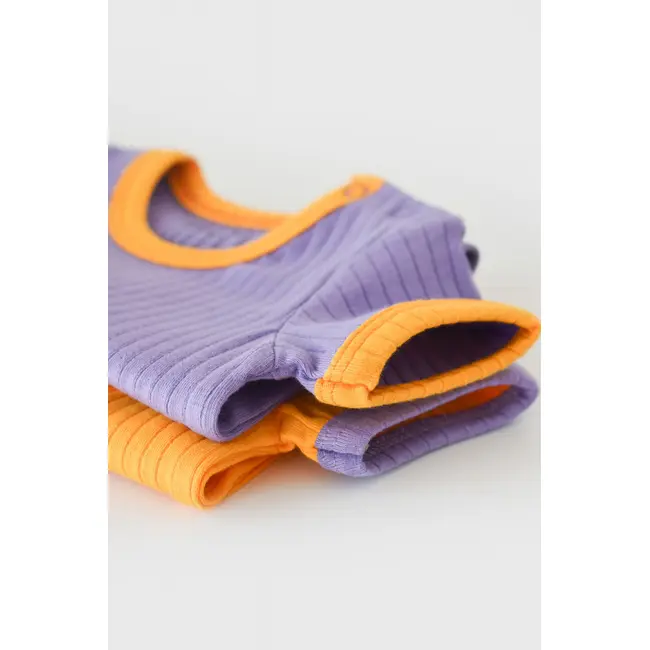 Set 2 body-uri Ribana Bebe Unisex din bumbac organic si 5%elastan - Galben/Mov (Marime: 6-9 luni) JEMBC-CSYR4202-6