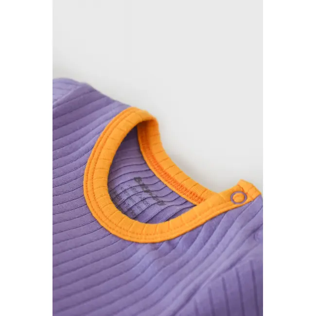 Set 2 body-uri Ribana Bebe Unisex din bumbac organic si 5%elastan - Galben/Mov (Marime: 6-9 luni) JEMBC-CSYR4202-6