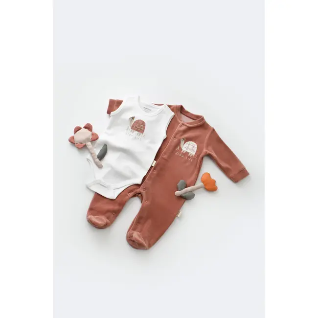Set Broscuta cu salopeta si body din 80%bumbac organic si 20% poliester - Caramiziu, Baby Cosy (Marime: 6-9 luni) JEMBC-CSYK6022-6