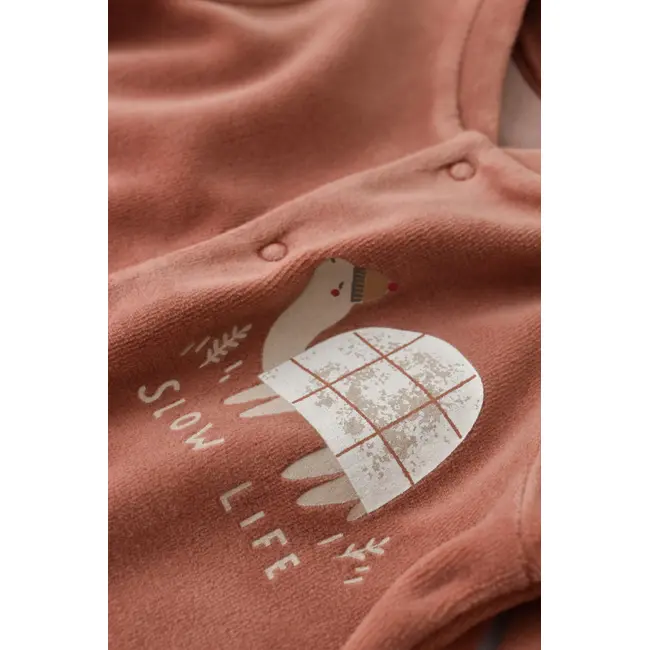 Set Broscuta cu salopeta si body din 80%bumbac organic si 20% poliester - Caramiziu, Baby Cosy (Marime: 6-9 luni) JEMBC-CSYK6022-6