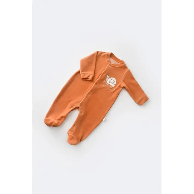 Set Broscuta cu salopeta si body din 80%bumbac organic si 20% poliester - Portocaliu, Baby Cosy (Marime: 3-6 Luni) JEMBC-CSYK6021-3