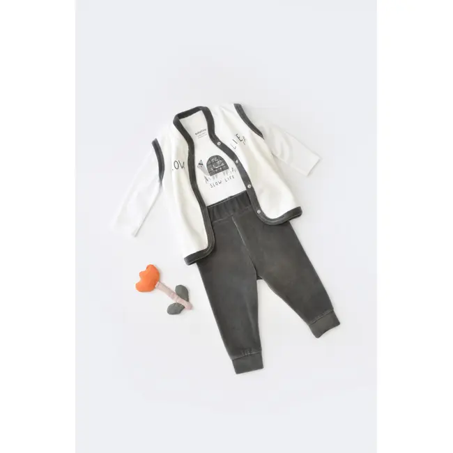 Set 3 piese Broscuta cu body, pantalonasi si vestuta din 80%bumbac organic si 20% poliester - Antracit, Baby Cosy (Marime: 12-18 Luni) JEMBC-CSYK6024-12
