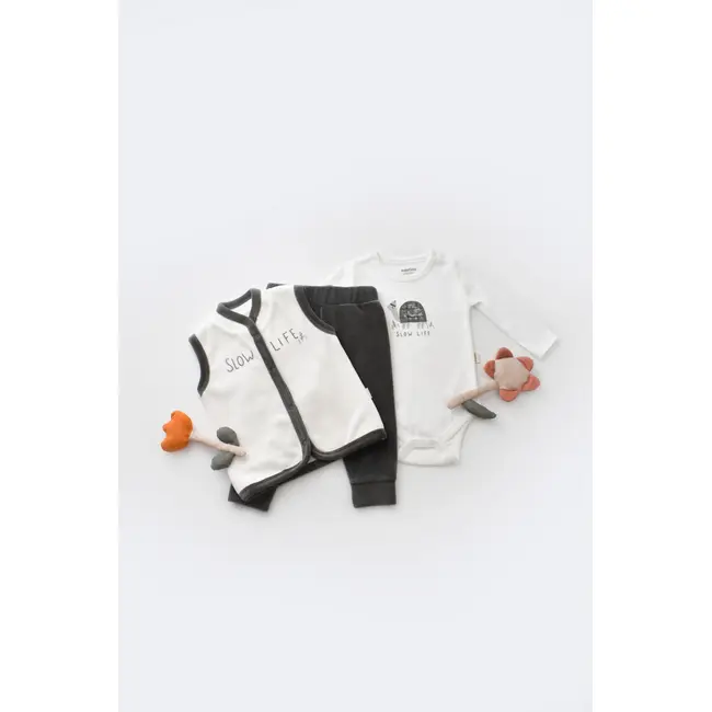 Set 3 piese Broscuta cu body, pantalonasi si vestuta din 80%bumbac organic si 20% poliester - Antracit, Baby Cosy (Marime: 12-18 Luni) JEMBC-CSYK6024-12