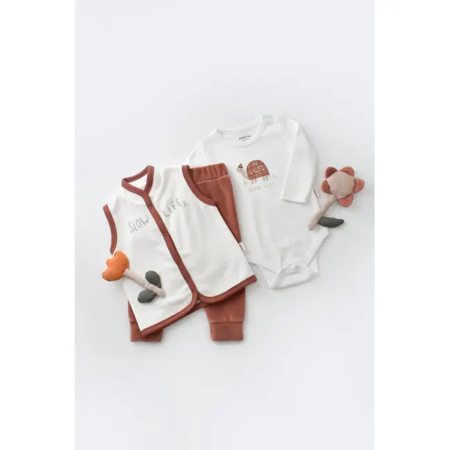Set 3 piese Broscuta cu body, pantalonasi si vestuta din 80%bumbac organic si 20% poliester - Caramiziu, Baby Cosy (Marime: 6-9 luni) JEMBC-CSYK6026-6