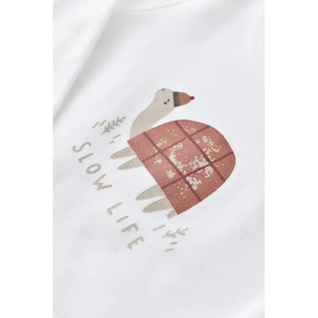 Set 3 piese Broscuta cu body, pantalonasi si vestuta din 80%bumbac organic si 20% poliester - Caramiziu, Baby Cosy (Marime: 6-9 luni) JEMBC-CSYK6026-6