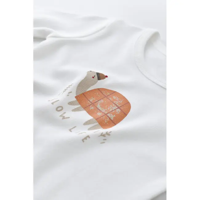 Set 3 piese Broscuta cu body, pantalonasi si vestuta din 80%bumbac organic si 20% poliester - Portocaliu, Baby Cosy (Marime: 12-18 Luni) JEMBC-CSYK6025-12