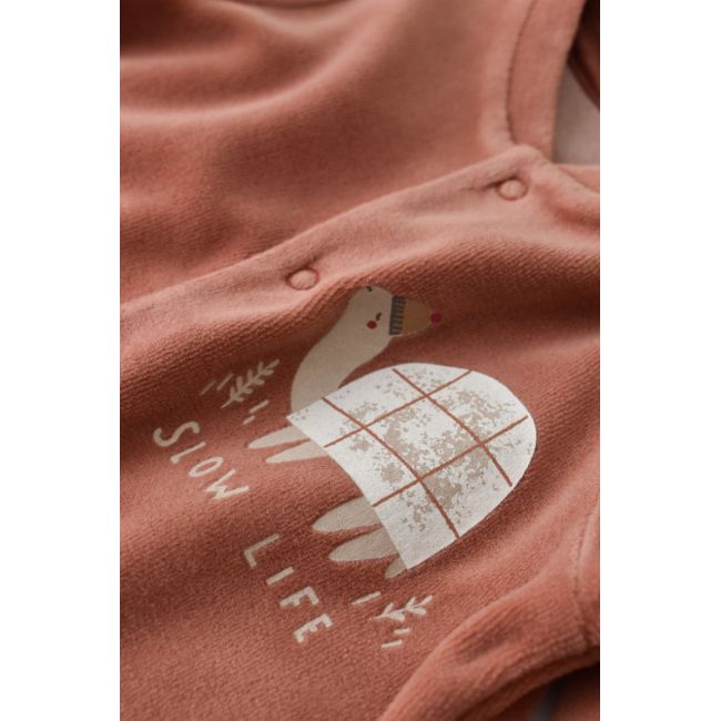 Set Broscuta cu salopeta si body din 80%bumbac organic si 20% poliester - Caramiziu, Baby Cosy (Marime: 3-6 Luni) JEMBC-CSYK6022-3