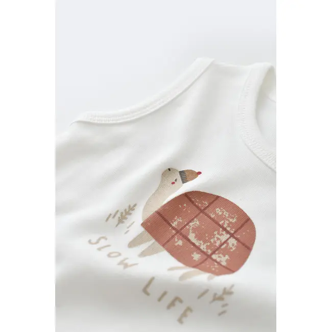 Set Broscuta cu salopeta si body din 80%bumbac organic si 20% poliester - Caramiziu, Baby Cosy (Marime: 3-6 Luni) JEMBC-CSYK6022-3