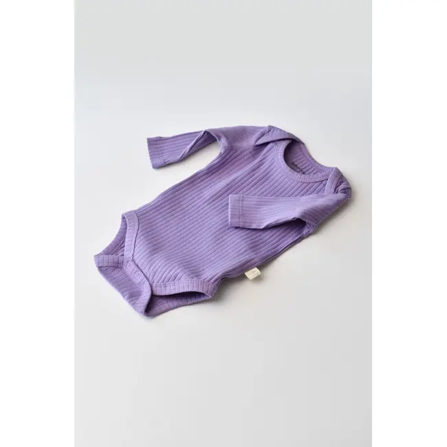 Body Bebe Unisex cu maneca lunga din 95% bumbac organic cu 5% elastan - Mov, Baby Cosy (Marime: 3-6 Luni) JEMBC-CSYR4302-3