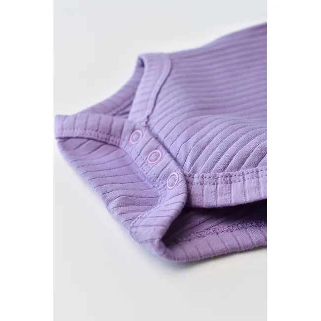 Body Bebe Unisex cu maneca lunga din 95% bumbac organic cu 5% elastan - Mov, Baby Cosy (Marime: 3-6 Luni) JEMBC-CSYR4302-3