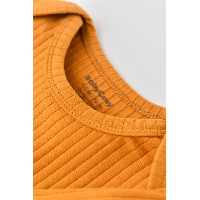 Body Bebe Unisex cu maneca lunga din 95% bumbac organic cu 5% elastan - Sofran, Baby Cosy (Marime: 6-9 luni) JEMBC-CSYR4308-6