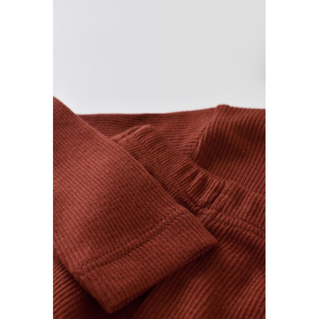 Set 3 piese: bluzita cu maneca lunga, panataloni lungi si caciulita din bumbac organic si modal - Caramiziu (Marime: 12-18 Luni) JEMBC-CSYM21501-12