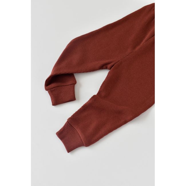 Set 3 piese: bluzita cu maneca lunga, panataloni lungi si caciulita din bumbac organic si modal - Caramiziu (Marime: 12-18 Luni) JEMBC-CSYM21501-12