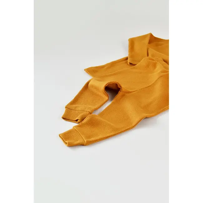Set 3 piese: bluzita cu maneca lunga, panataloni lungi si caciulita din bumbac organic si modal - Mustar (Marime: 6-9 luni) JEMBC-CSYM21500-6
