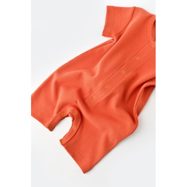 Salopeta cu panataloni scurti - 100% bumbac organic - Scortisoara, Baby Cosy (Marime: 6-9 luni) JEMBC-CSYW1015-6