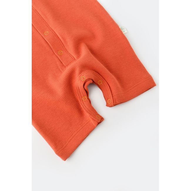 Salopeta cu panataloni scurti - 100% bumbac organic - Scortisoara, Baby Cosy (Marime: 6-9 luni) JEMBC-CSYW1015-6