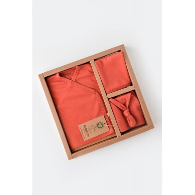 Set de 5 piese pentru nou nascut - 100% bumbac organic - Scortisoara, Baby Cosy JEMBC-CSY5505
