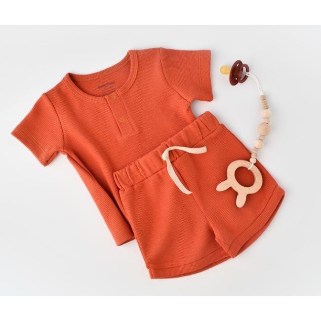 Set tricou cu panataloni scurti - 100% bumbac organic - Scortisoara, Baby Cosy (Marime: 6-9 luni) JEMBC-CSYW1021-6