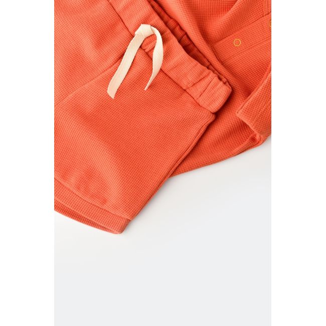 Set tricou cu panataloni scurti - 100% bumbac organic - Scortisoara, Baby Cosy (Marime: 6-9 luni) JEMBC-CSYW1021-6