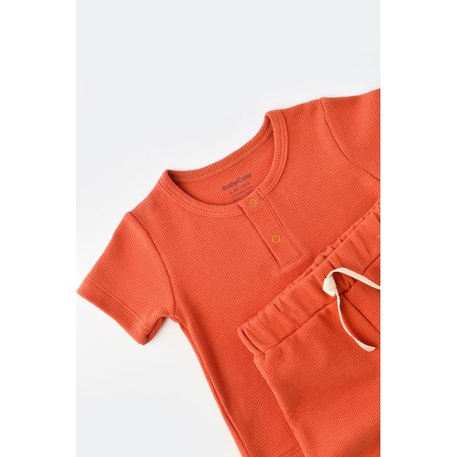 Set tricou cu panataloni scurti - 100% bumbac organic - Scortisoara, Baby Cosy (Marime: 6-9 luni) JEMBC-CSYW1021-6