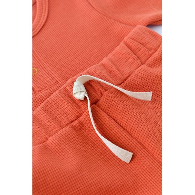 Set tricou cu panataloni scurti - 100% bumbac organic - Scortisoara, Baby Cosy (Marime: 6-9 luni) JEMBC-CSYW1021-6