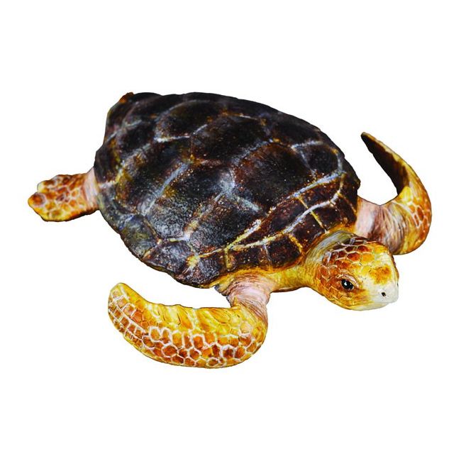 Broasca testoasa - collecta - okecol88094m