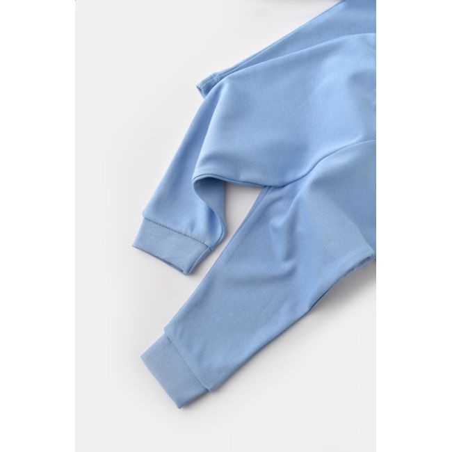Set bluzita cu maneca lunga si panataloni lungi - bumbac organic 100% - Bleu, Baby Cosy (Marime: 9-12 luni) JEMBC-CSY3031-9