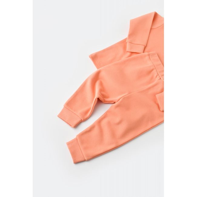 Set bluzita cu maneca lunga si panataloni lungi - bumbac organic 100% - Roz, Baby Cosy (Marime: 12-18 Luni) JEMBC-CSY3032-12