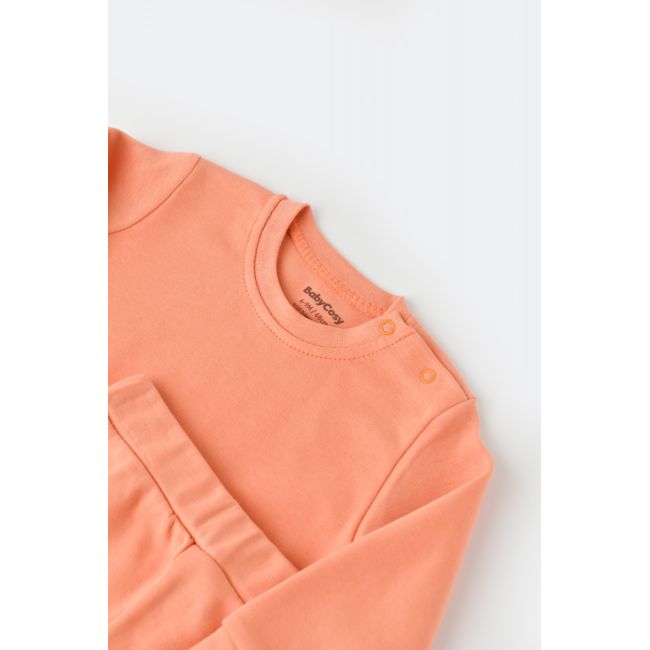 Set bluzita cu maneca lunga si panataloni lungi - bumbac organic 100% - Roz, Baby Cosy (Marime: 3-6 Luni) JEMBC-CSY3032-3