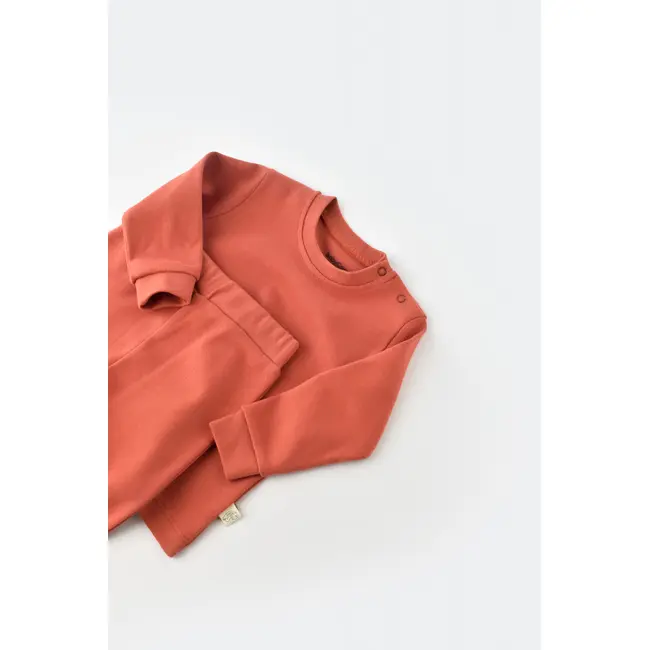Set bluzita cu maneca lunga si panataloni lungi - bumbac organic 100% - Scortisoara, Baby Cosy (Marime: 18-24 Luni) JEMBC-CSY3029-18