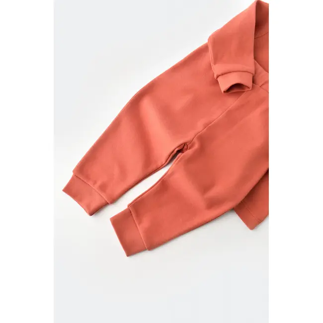 Set bluzita cu maneca lunga si panataloni lungi - bumbac organic 100% - Scortisoara, Baby Cosy (Marime: 3-6 Luni) JEMBC-CSY3029-3