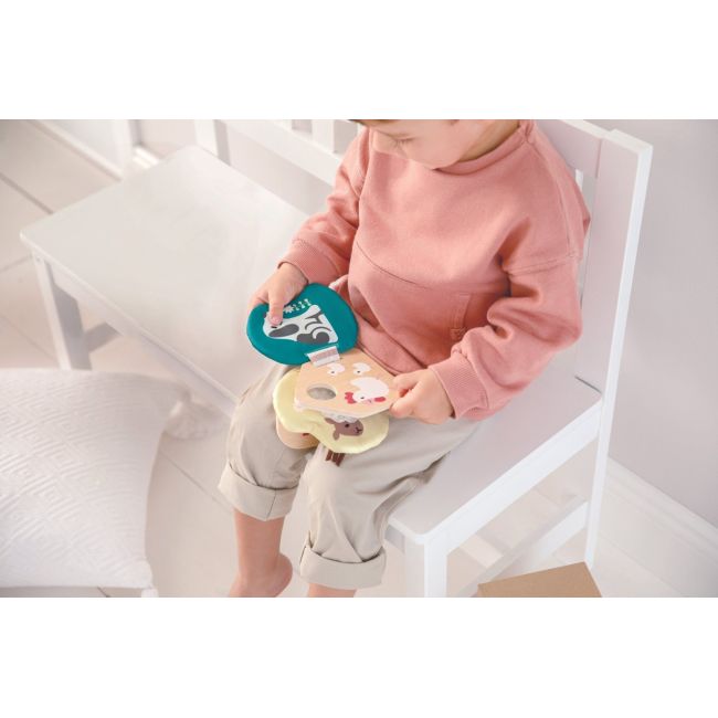 HAPE CARTICICA ANIMALE DOMESTICE VIVHapeE8539