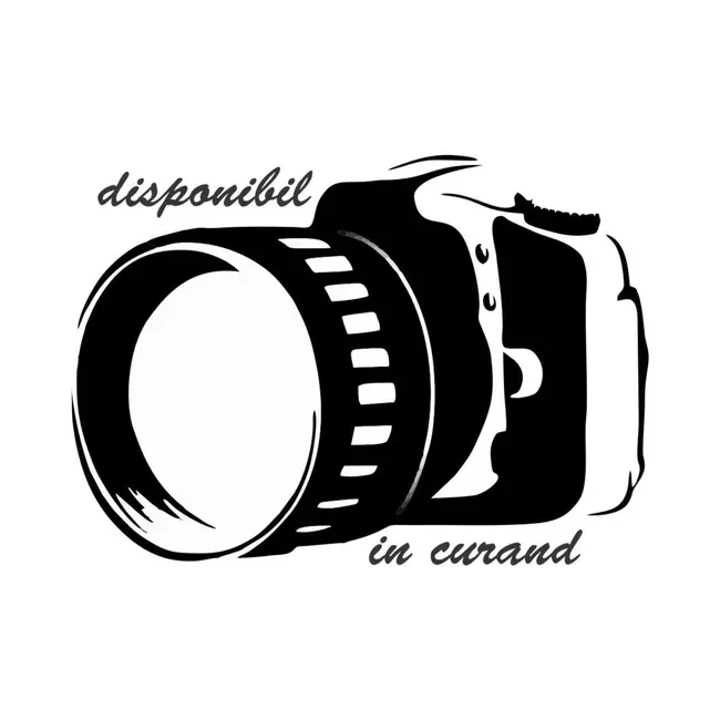 Tablou Mickey - PC-TBL-MK