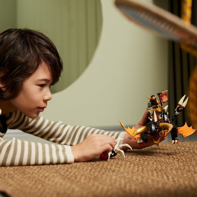 LEGO NINJAGO DRAGONUL DE PAMANT EVO A LUI COLE 71782 VIVLEGO71782