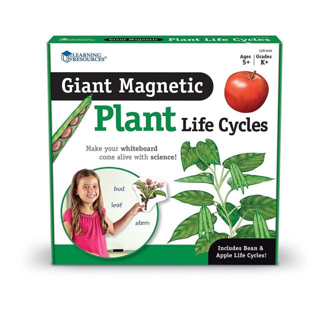 Ciclul vietii plantei - set magnetic