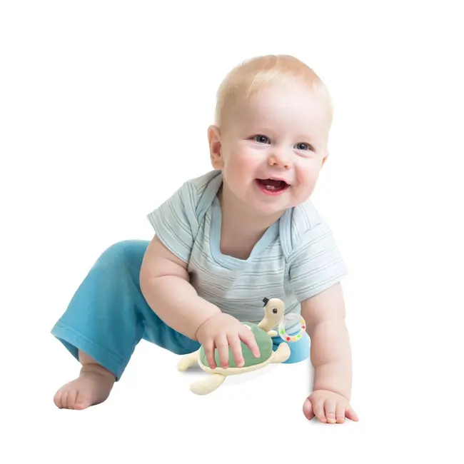 Jucarie din plus zornaitoare Broscuta testoasa, 3 luni+, BabyJem (Culoare: Maro) JEMbj_8191