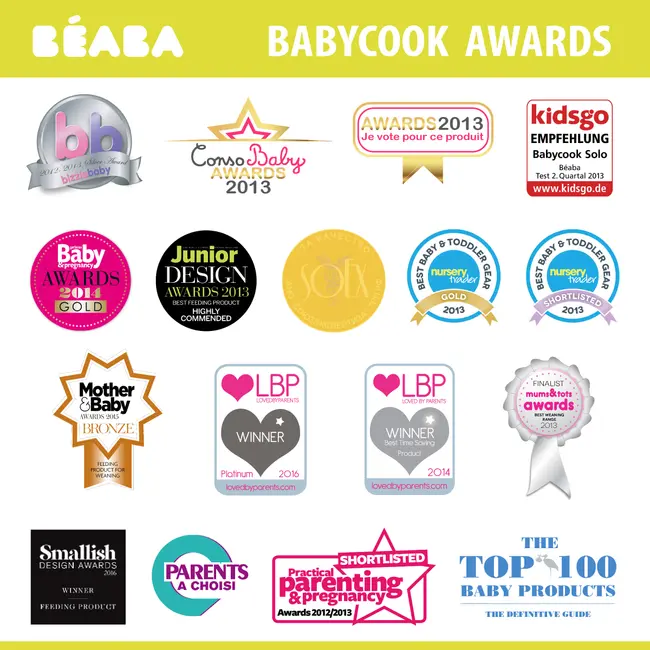 Robot Beaba Babycook Solo Dark Grey ERFB912794