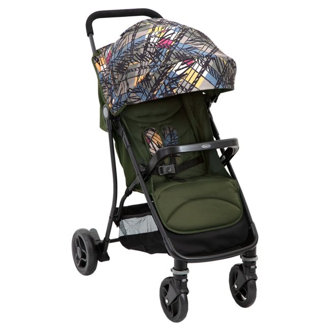 Carucior Graco Breaze Lite 2 Couture Fern ERFG6DU899CFREU