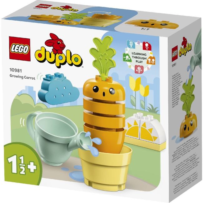 LEGO DUPLO MORCOV CARE CRESTE 10981 VIVLEGO10981