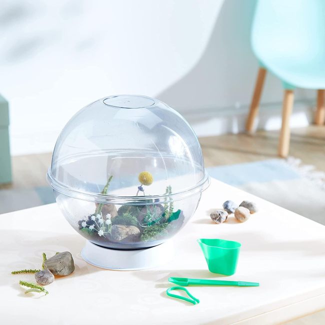 Experimentele micului geniu - habitate si ecosisteme