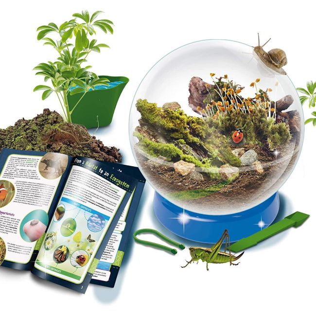 Experimentele micului geniu - habitate si ecosisteme