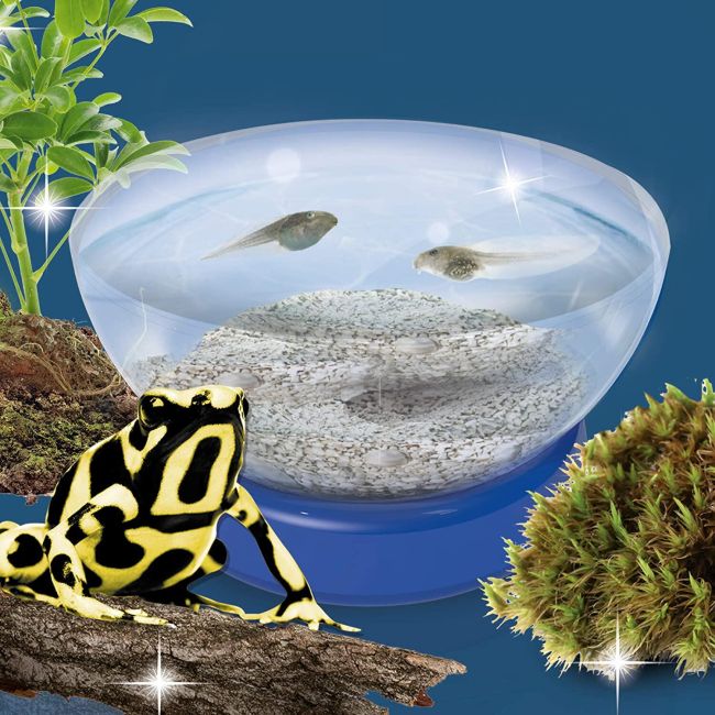 Experimentele micului geniu - habitate si ecosisteme