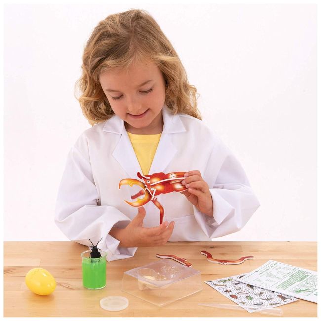Horrible science: gandaceii infricosatori