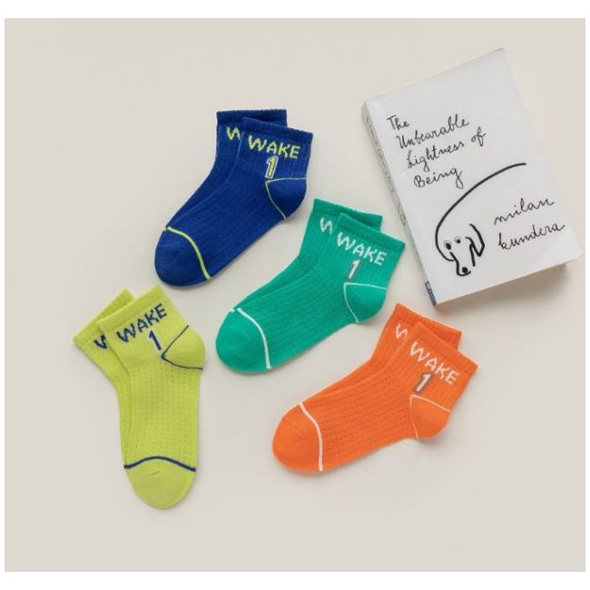 Set 5 perechi de sosetele pentru baietei - Wake LISKK2022-165-C24