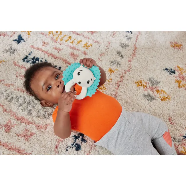 FISHER PRICE JUCARIE ZORNAITOARE ARICI VIVMTHJW11_HKD72